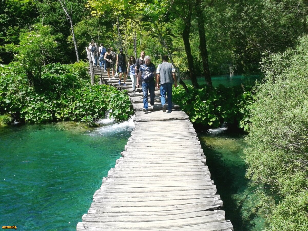 3-20170519_114347.jpg