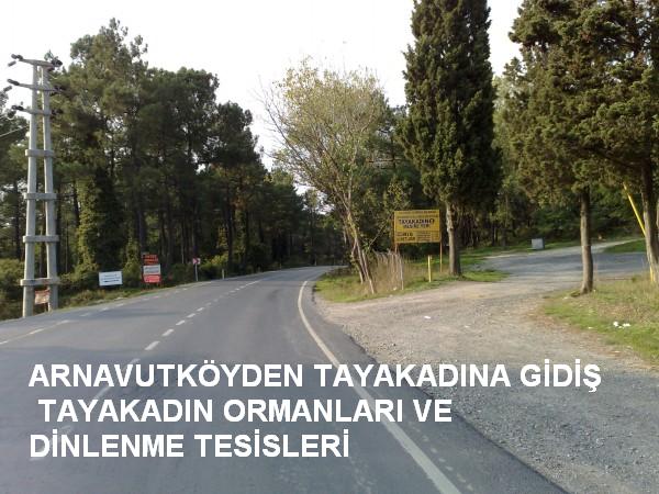 3.BO?AZ YOLUNA PARALEL OTOBAN (21).jpg