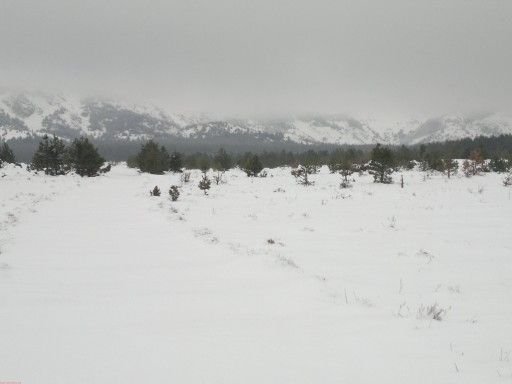 30012011116.jpg