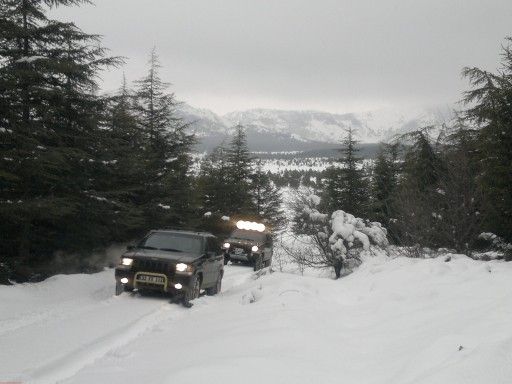 30012011138.jpg