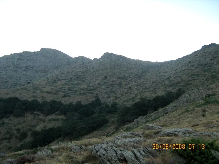 300808084.jpg