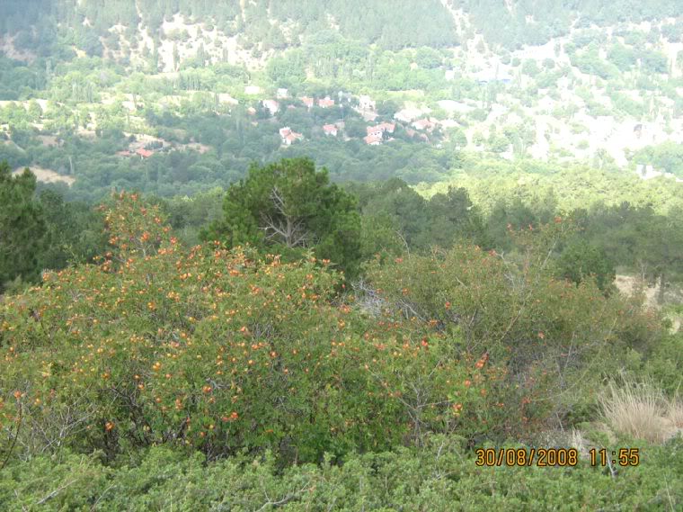 300808127.jpg