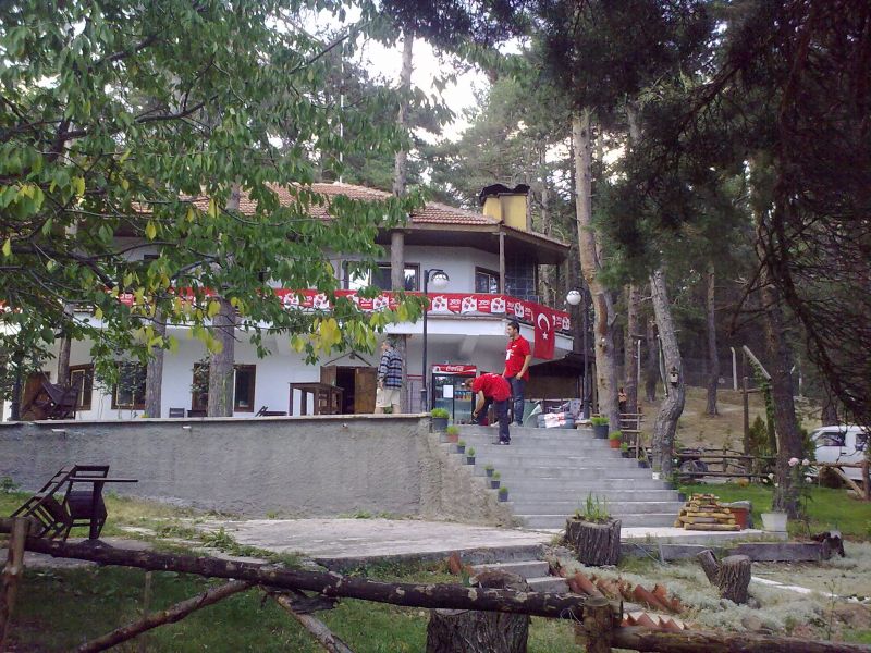 300820101235.jpg
