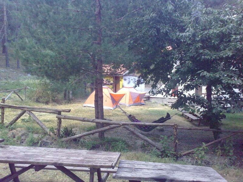 300820101238.jpg