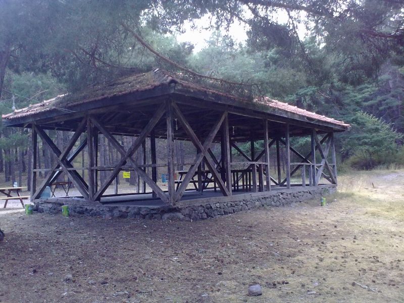 300820101239.jpg