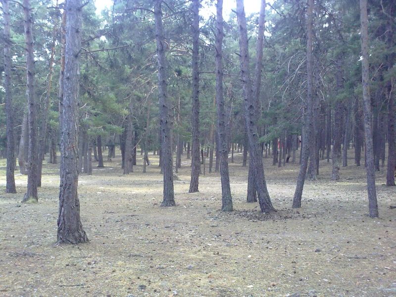 300820101242.jpg