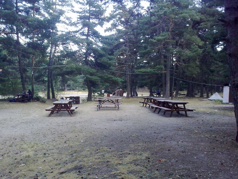 300820101243.jpg