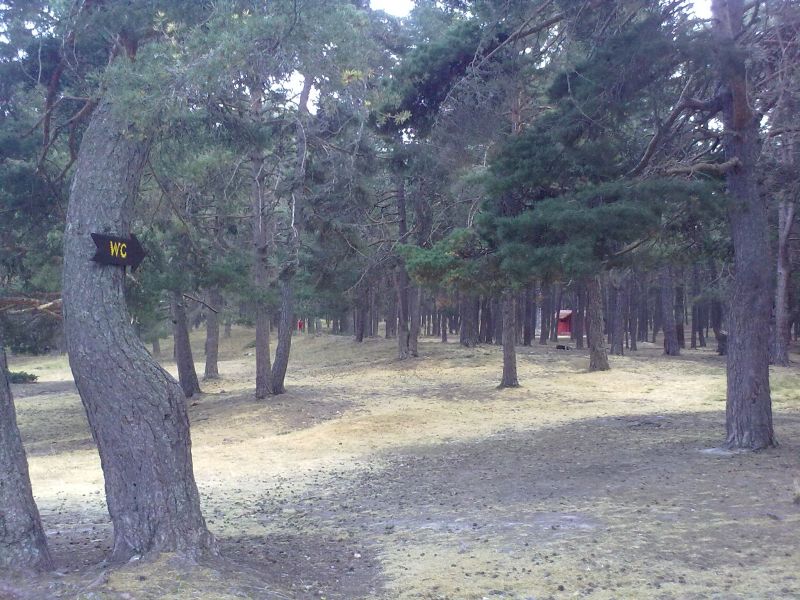 300820101244.jpg