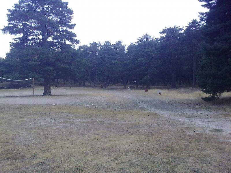 300820101248.jpg