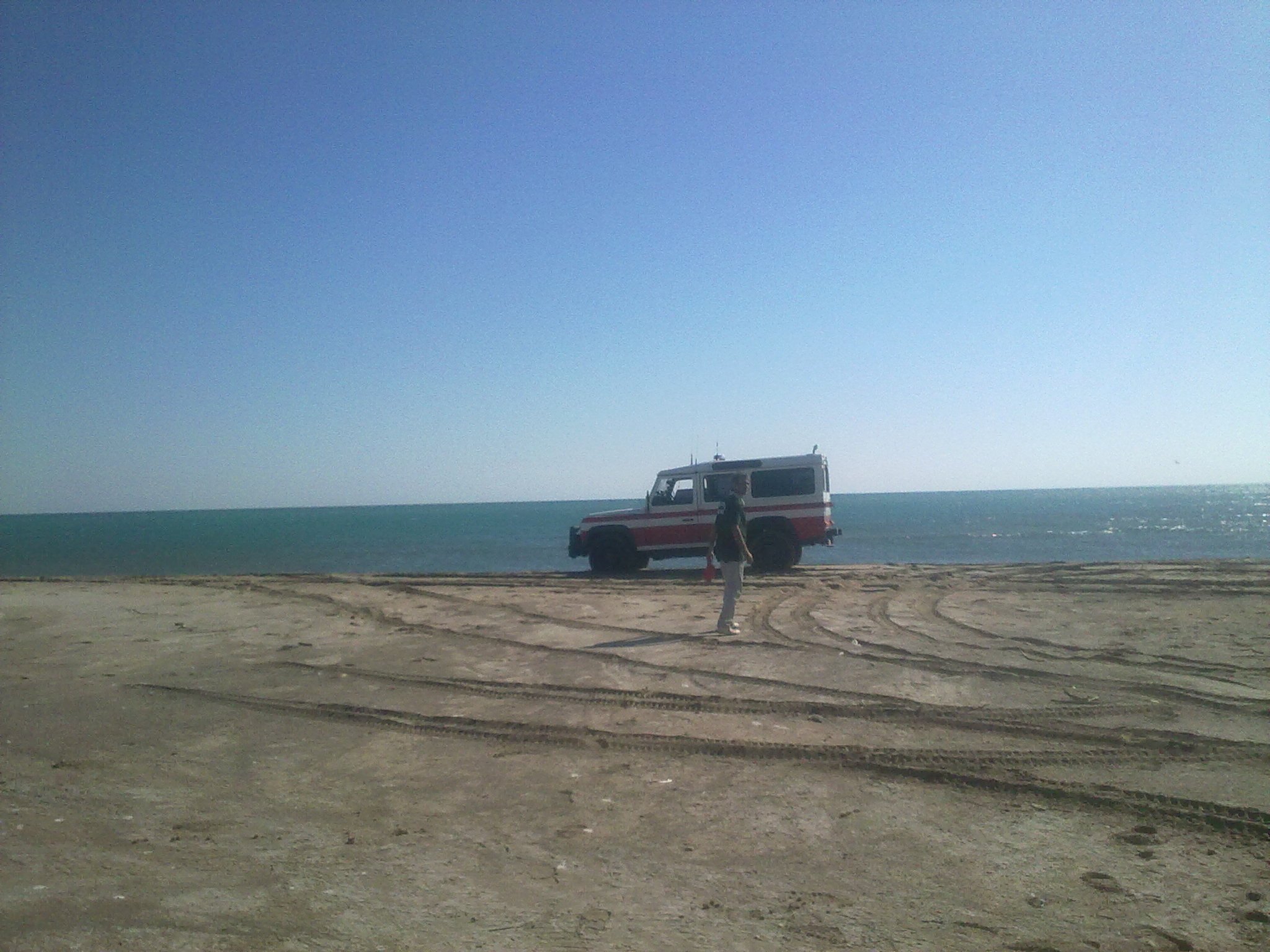 301020113590.jpg