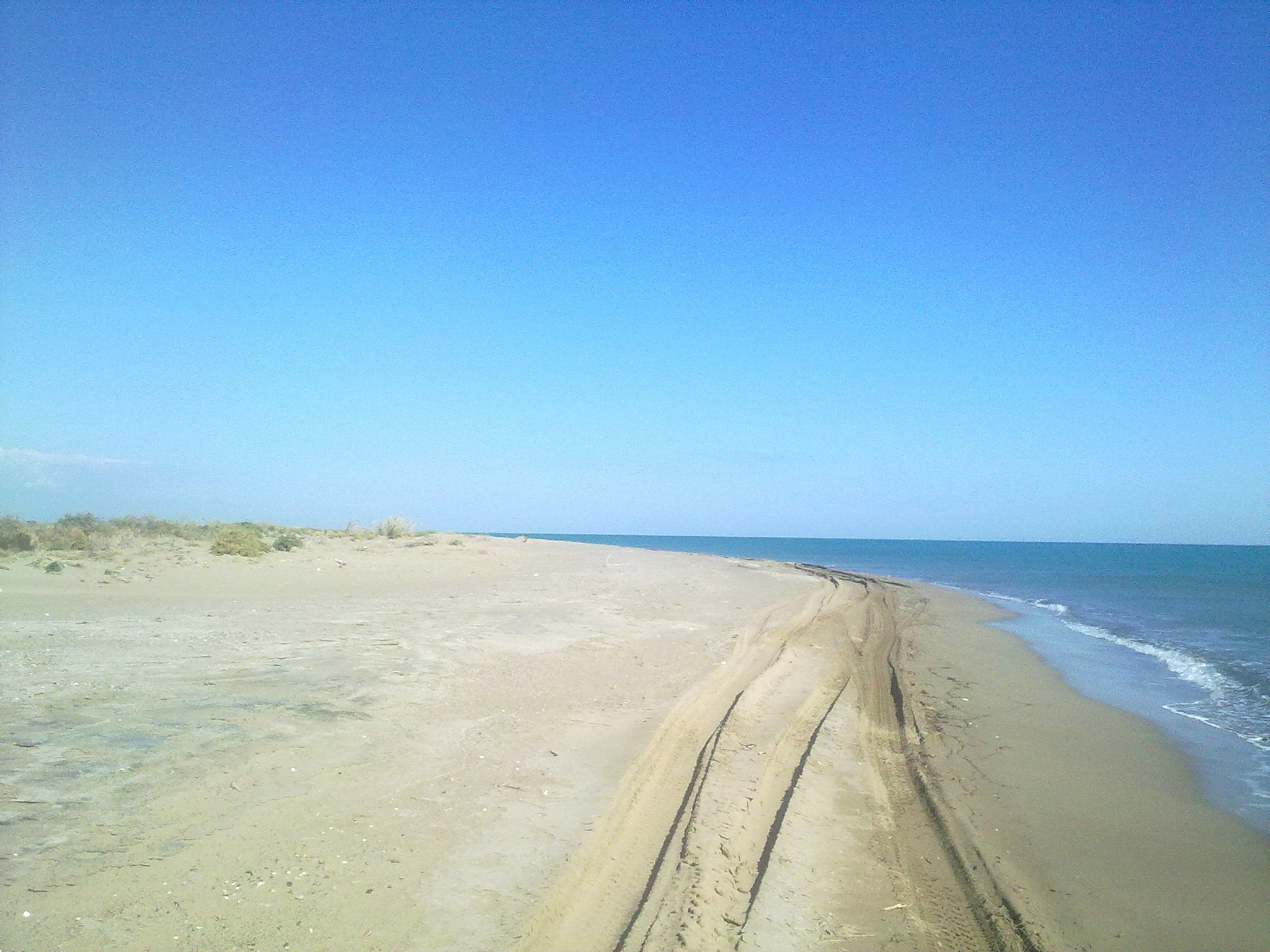 301020113606.jpg