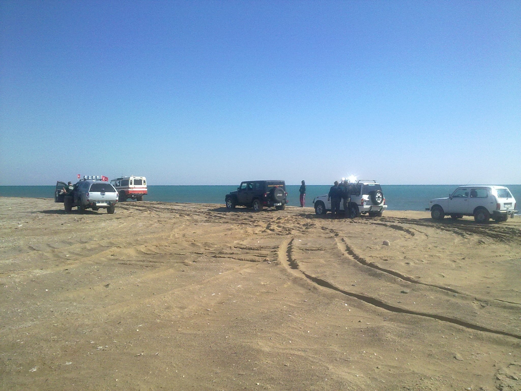 301020113623.jpg