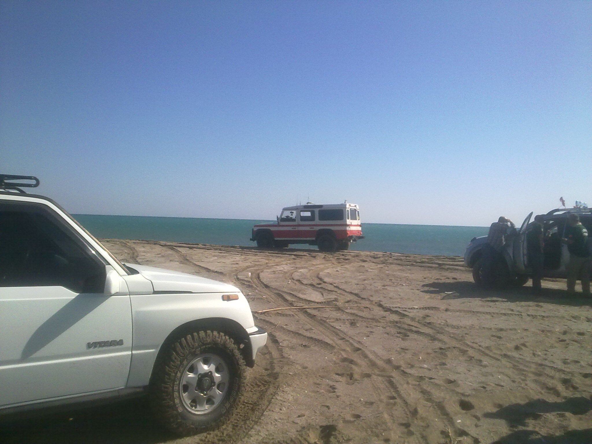 301020113638.jpg