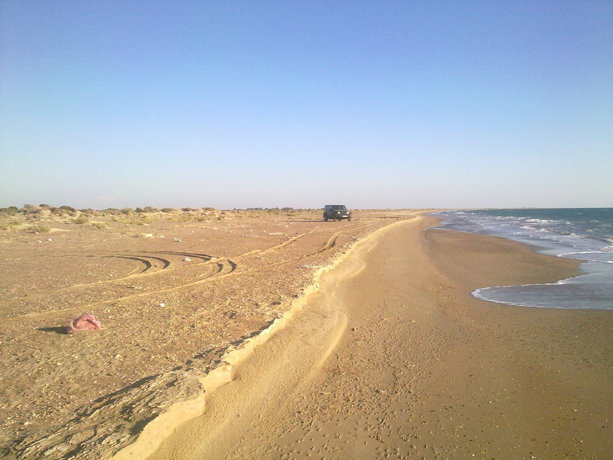 301020113722.jpg