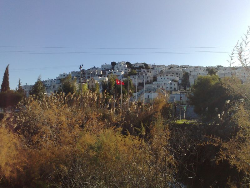 301220091222.jpg