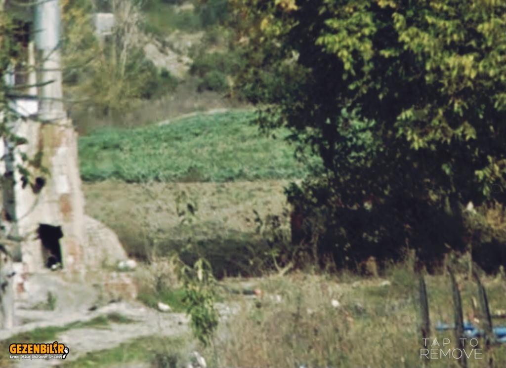 30ebaf0d-c1e9-430b-8e21-97b0c8c6ca4e.jpg