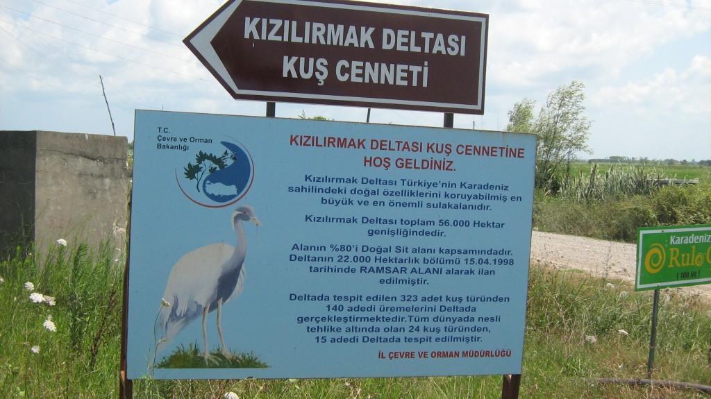 312.JPG