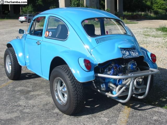 3275483.jpg