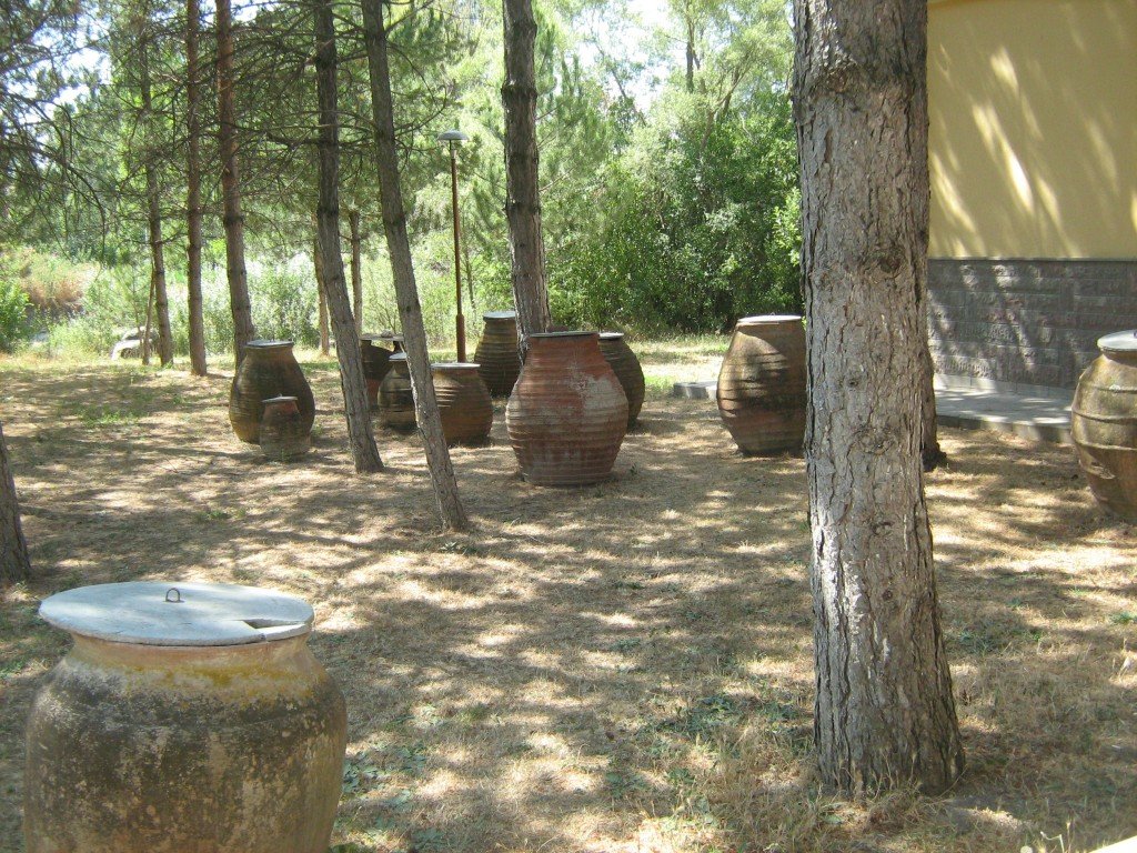 341.JPG