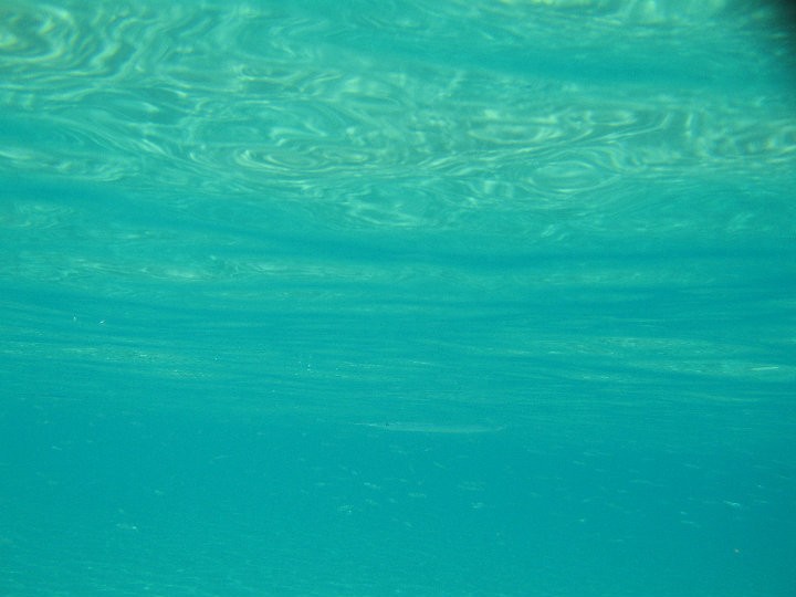 38205_419582882207_4315437_n.jpg