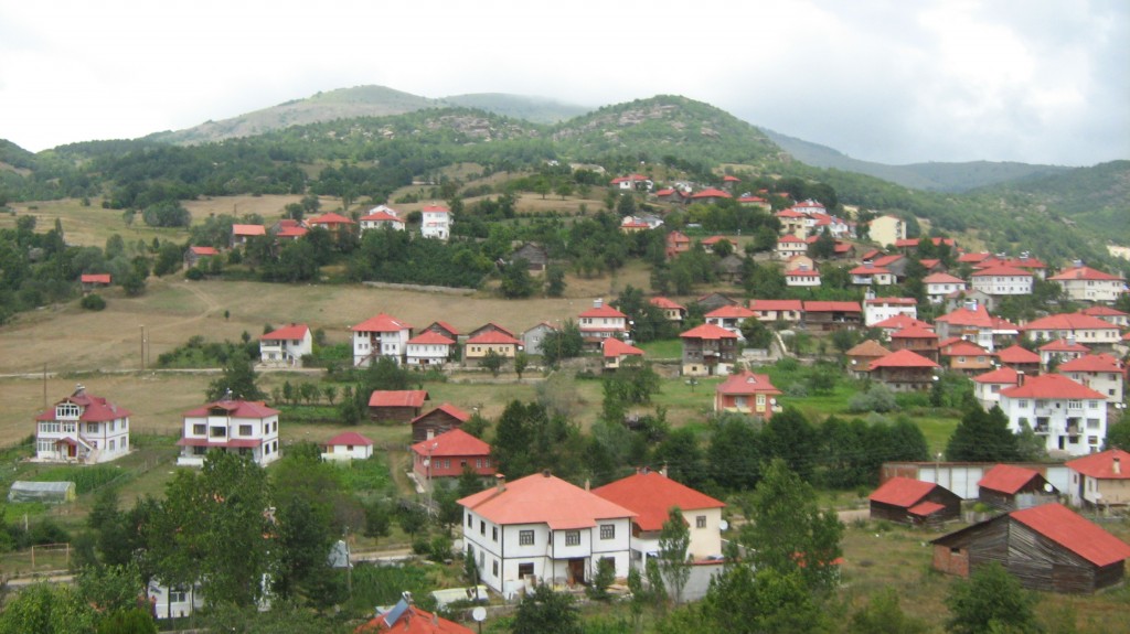 383.JPG