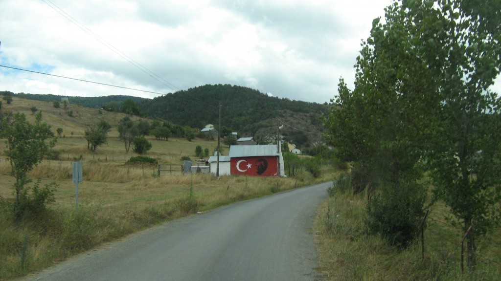 397.JPG