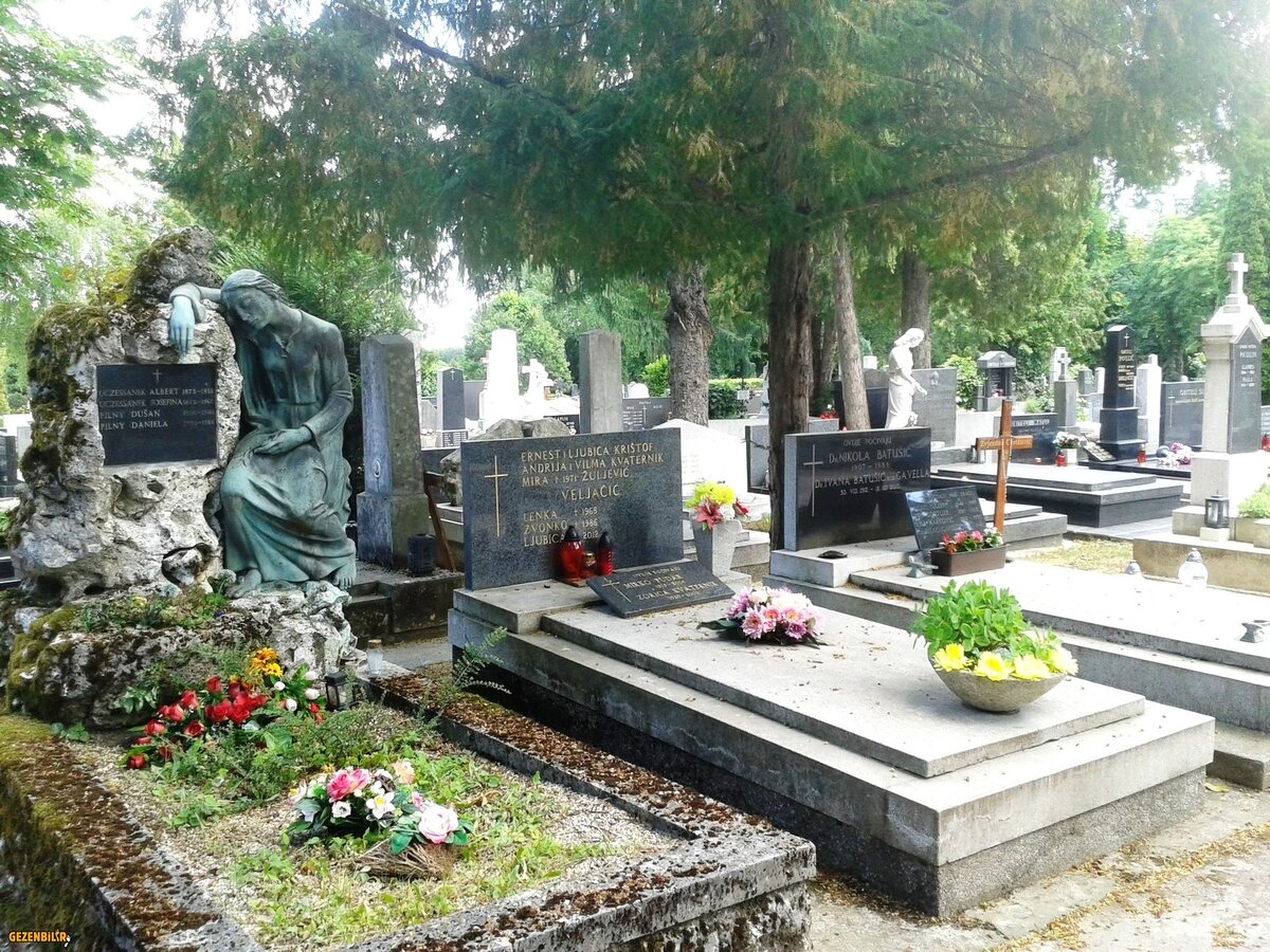 4-20170526_133735.jpg