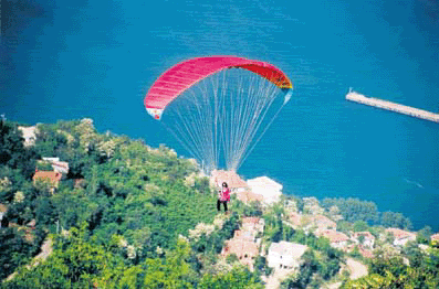 4.gif