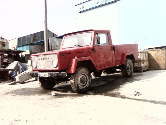 4024599.jpg