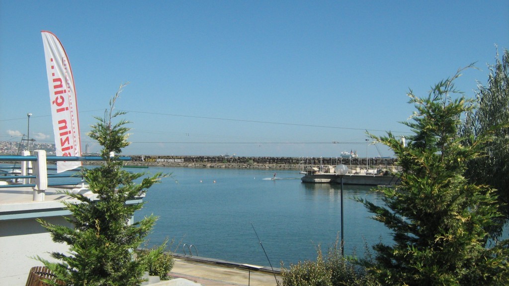419.JPG