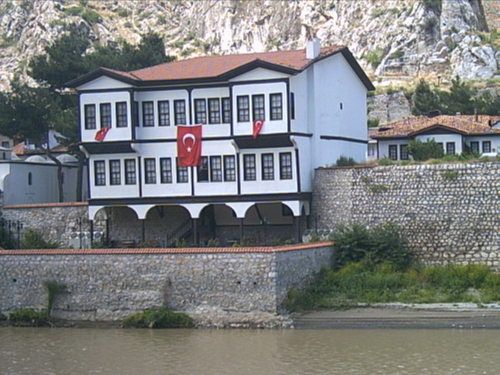 4391883.jpg