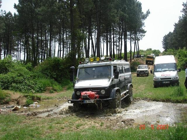 441021.jpg
