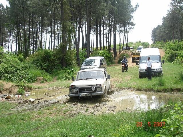 441025.jpg