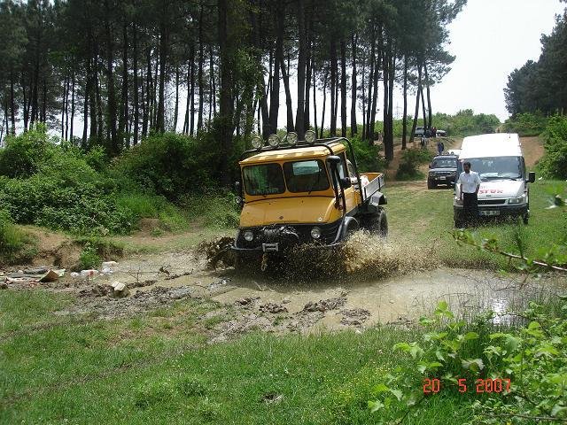 441027.jpg