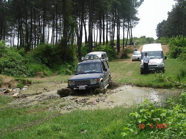 441030.jpg