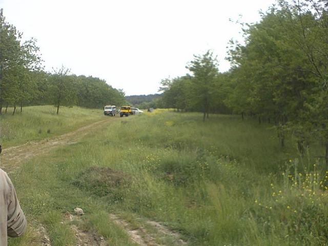 441092.jpg