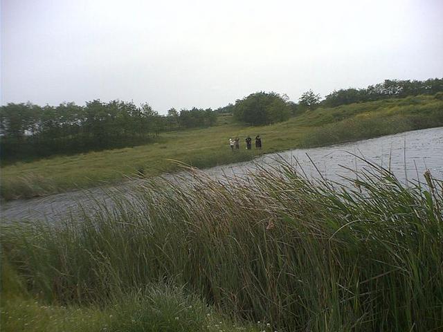 441095.jpg