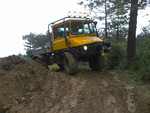 441188.jpg