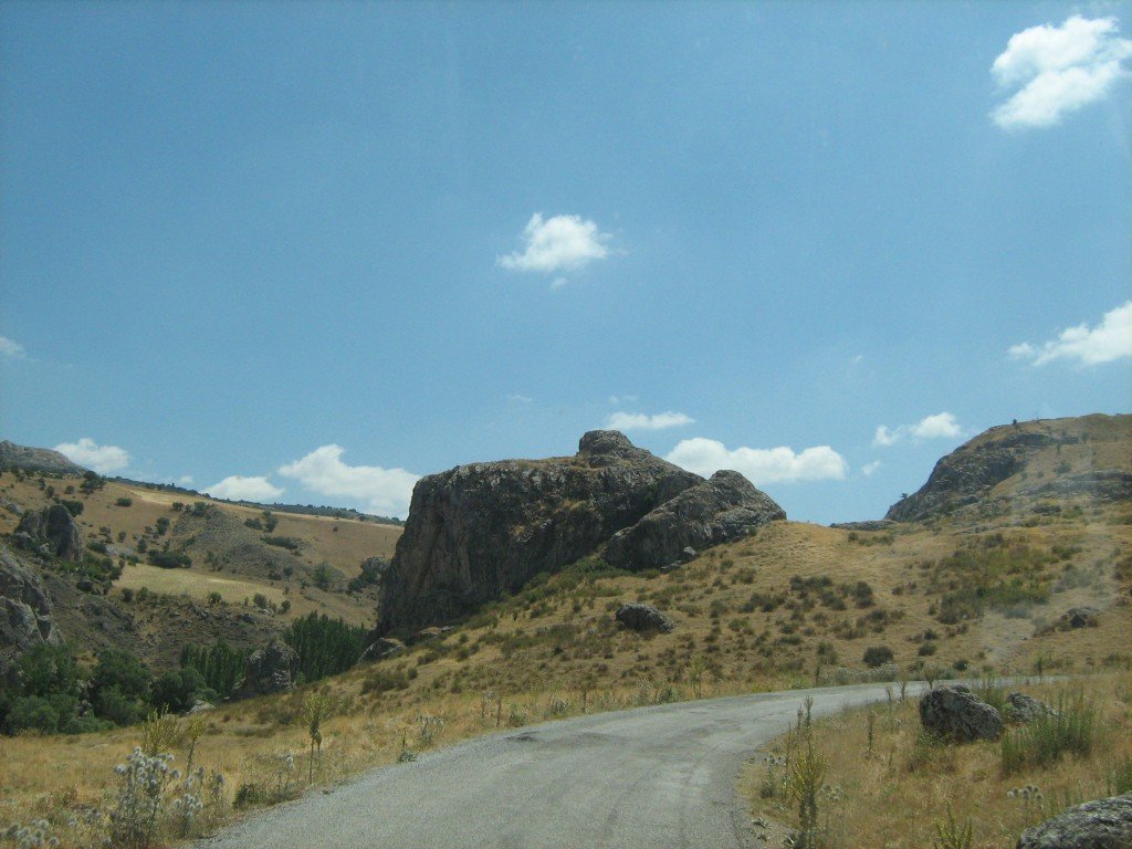 446.JPG