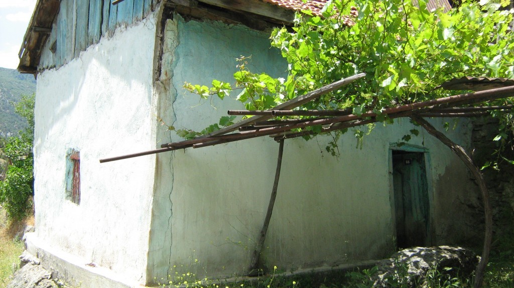484.JPG