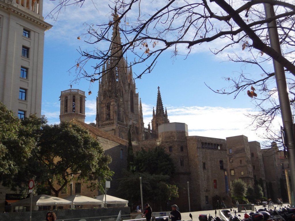 4SC04277 (Large).JPG