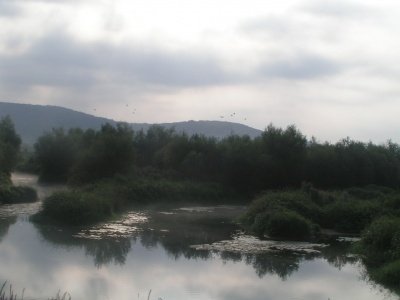 50100%20112428211_15_35_22.jpg