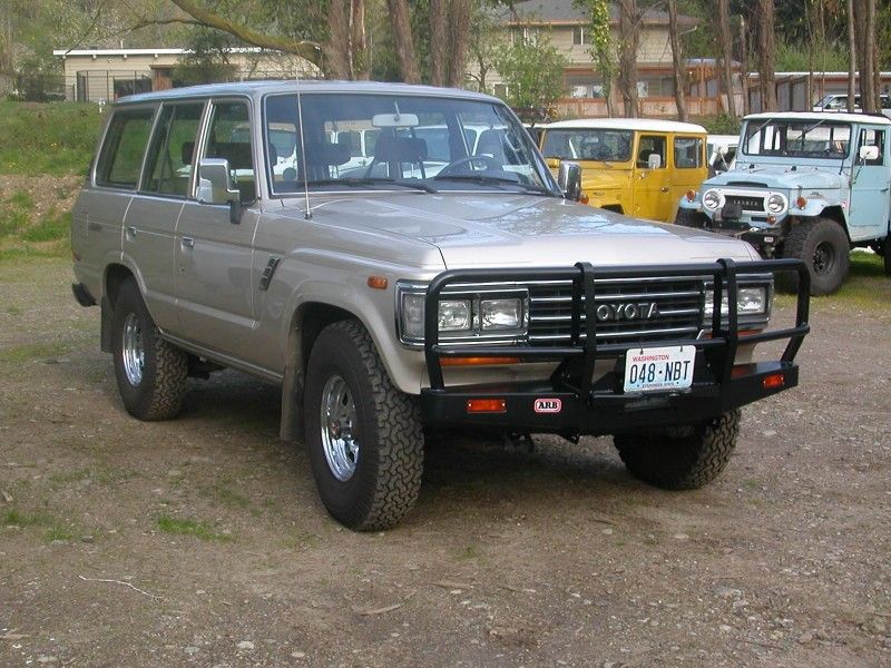 50595458.jpg