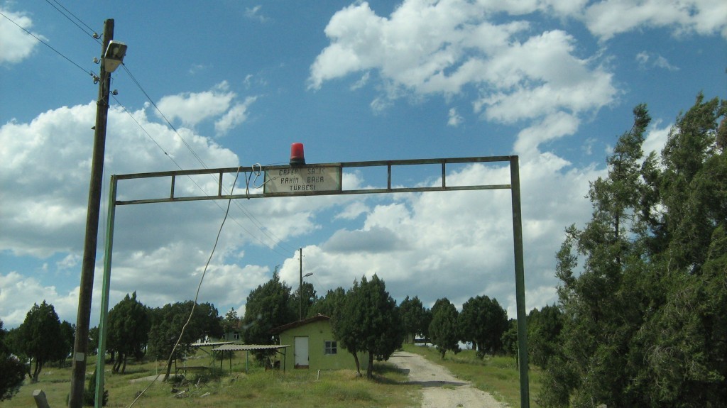 539.JPG