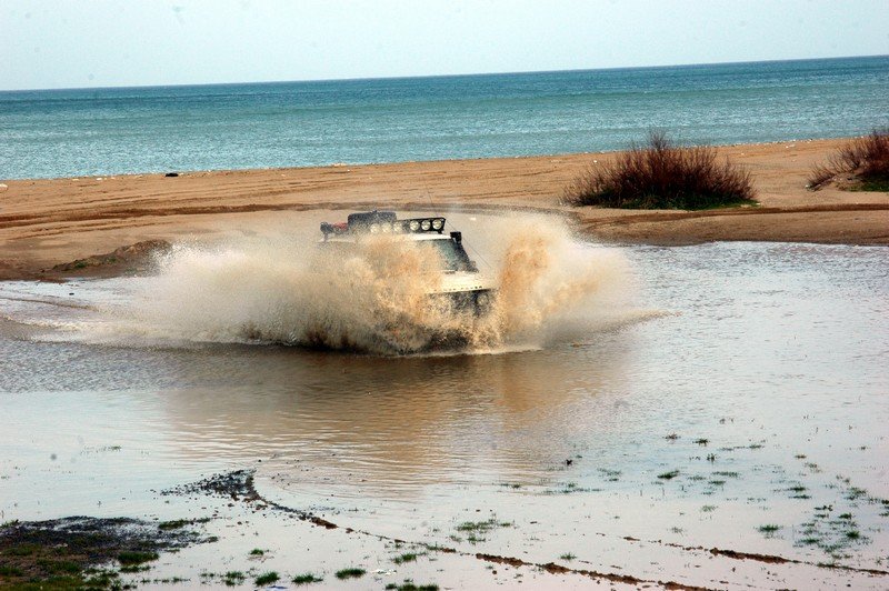 56.jpg