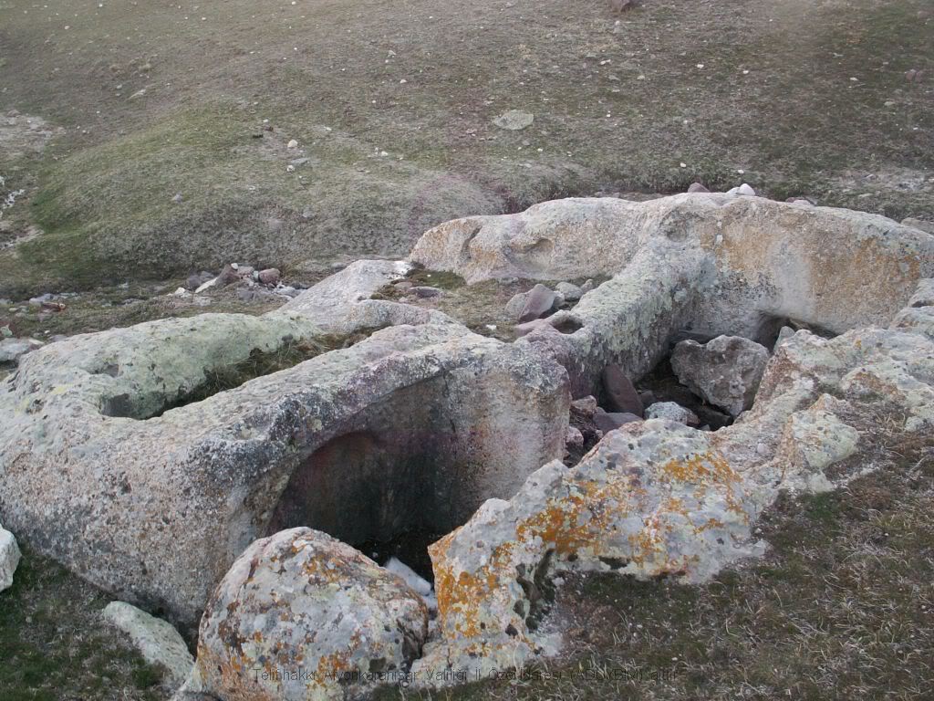 57.jpg