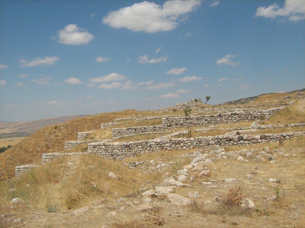 574.JPG