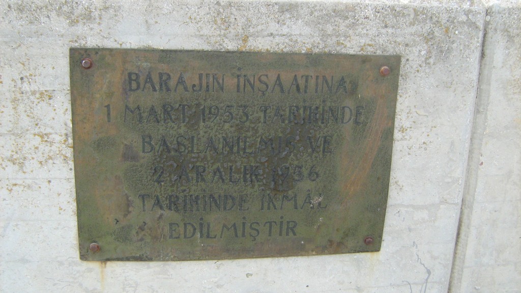 590.JPG