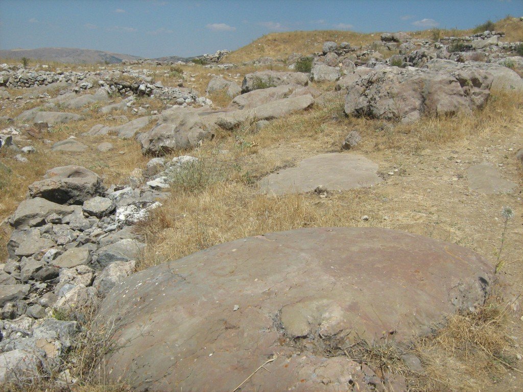 594.JPG