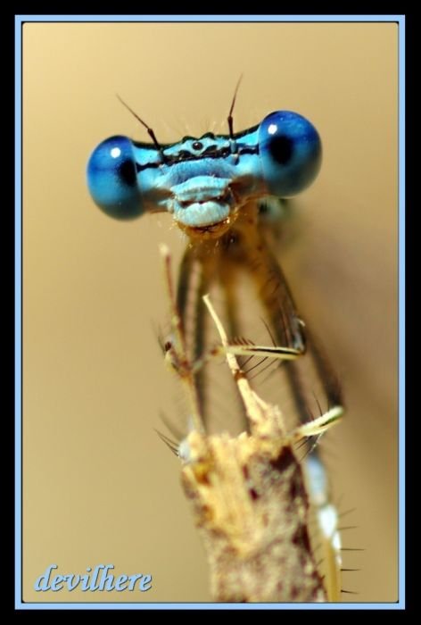 5cd8b020db2b0aa8fd0e28e012e7c48c.jpg